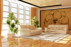 打算正在不久的未来会正在、法国、西班牙、英